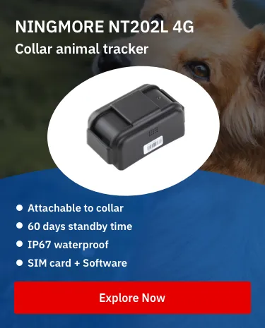 NINGMORE NT202L-E 4g collared animal gps tracker